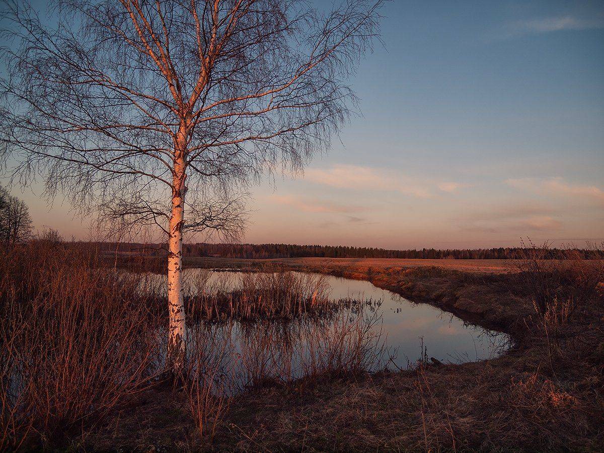 , Владимир Перепечаев