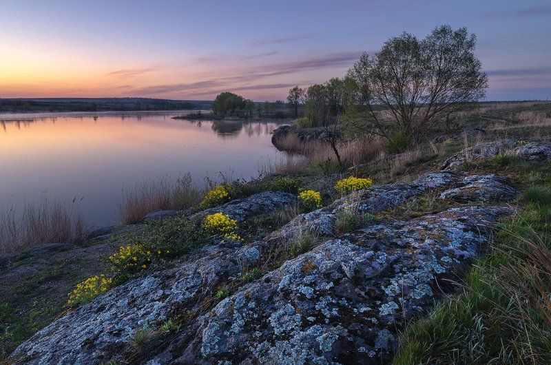 река, сугоклей, ивы, камни, рассвет, цветы Гармония стихий фото превью