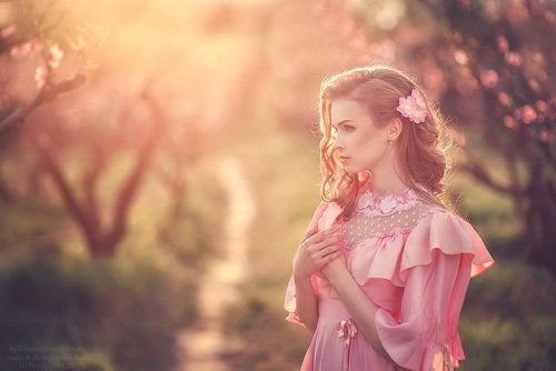 Pink sunset