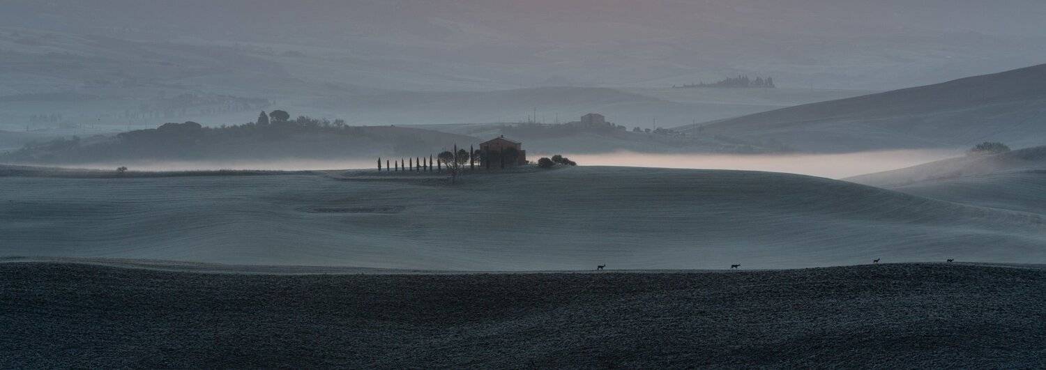 , Лядимов Дмитрий