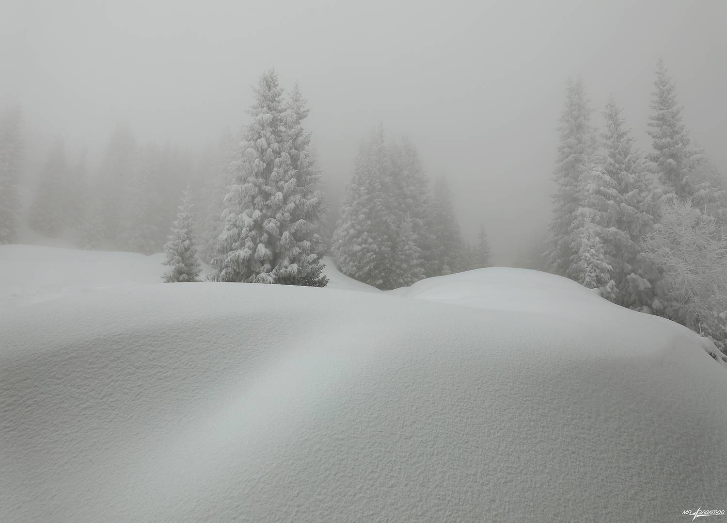 swiss,bettmeralp,зима,швейцария, Матвеев Николай