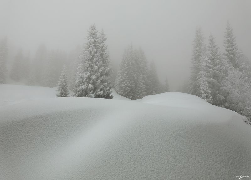 swiss,bettmeralp,зима,швейцария Зимние туманы фото превью