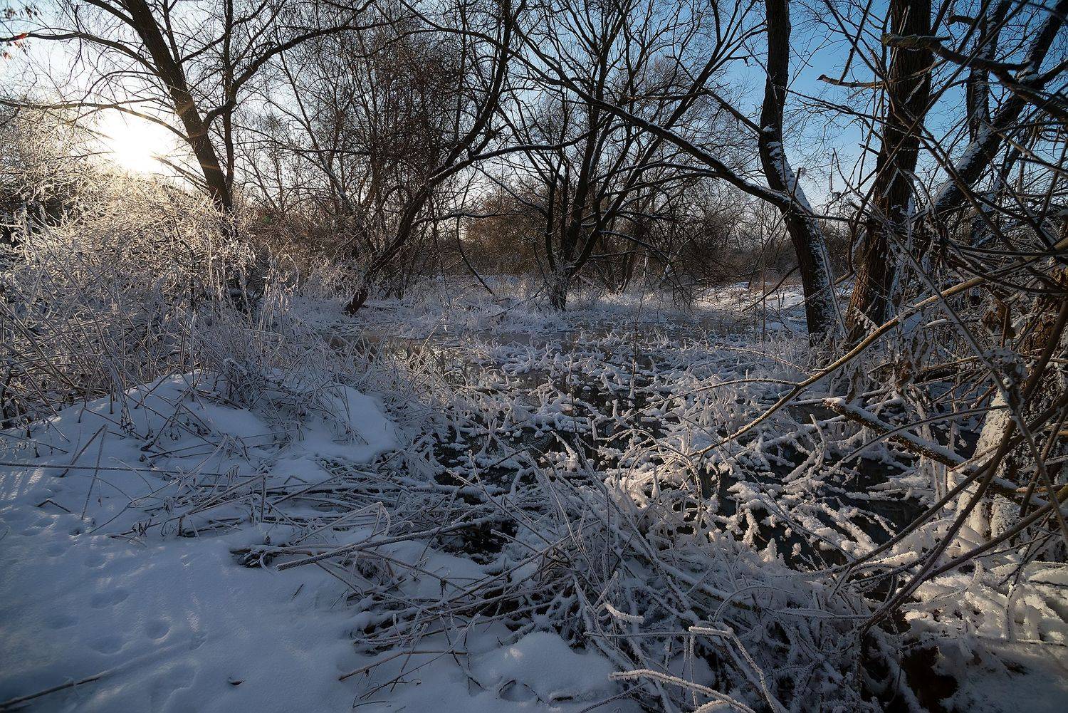 , Стрельцов Виталий
