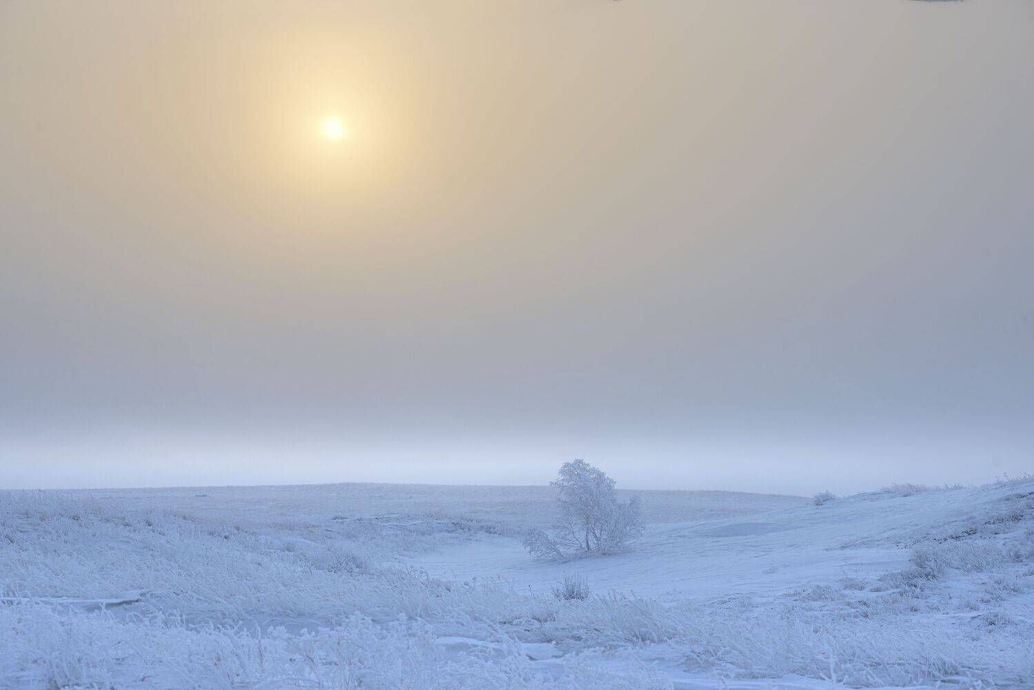 , Антонов Антон