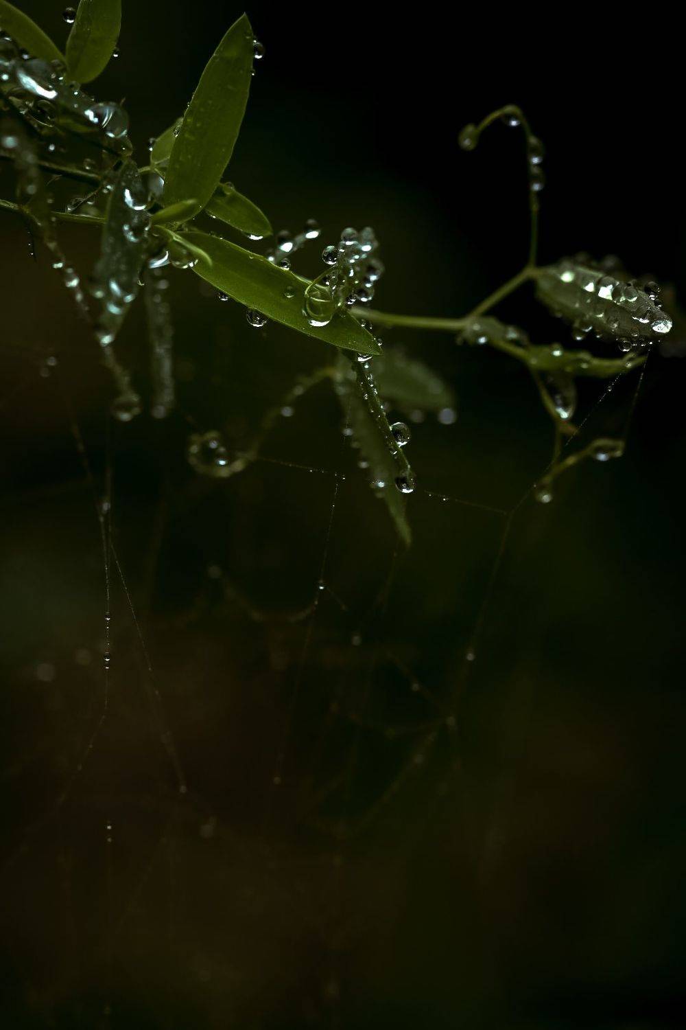 , Татьяна Винничук