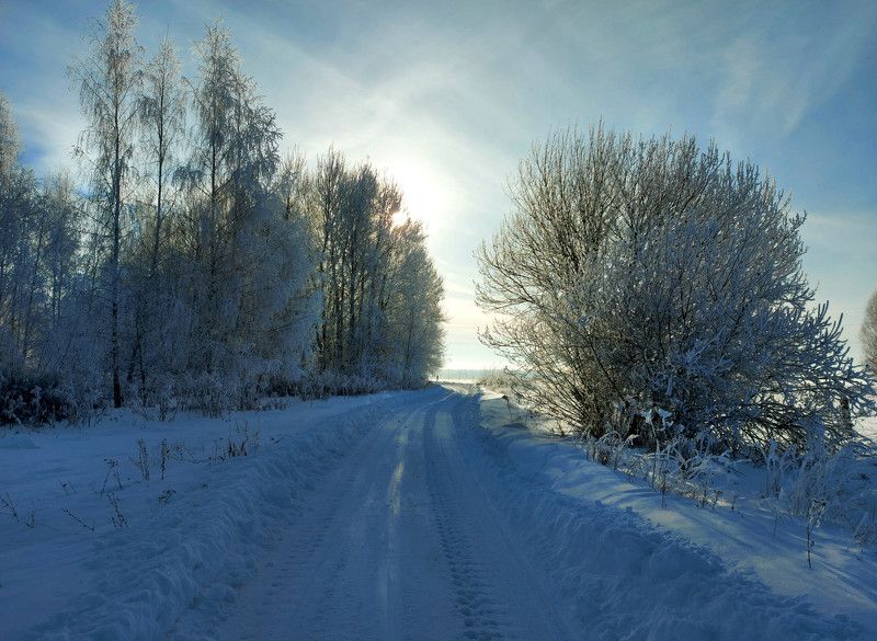 снег, зима, дорога, солнце, деревья Зимняя дорога. фото превью