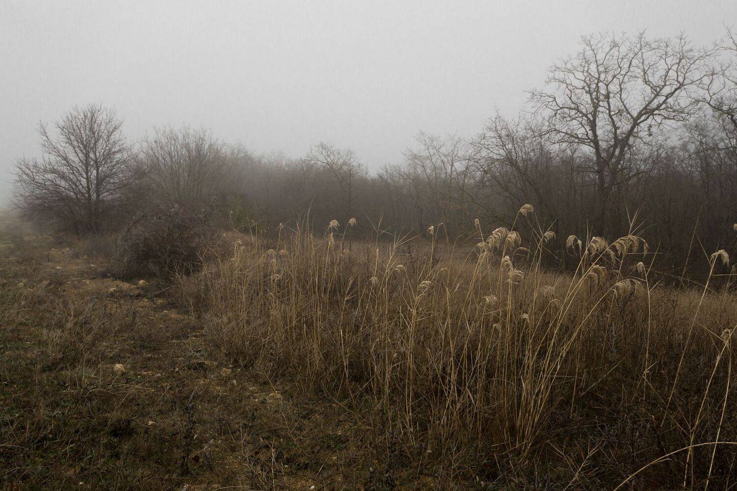 крым, туман,, Черкасов Сергей