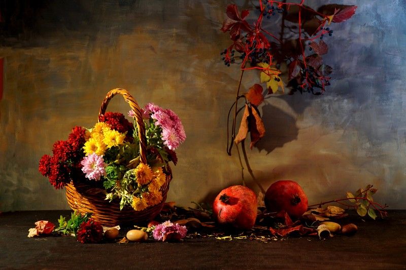 chrysanthemum chrysanthemum фото превью