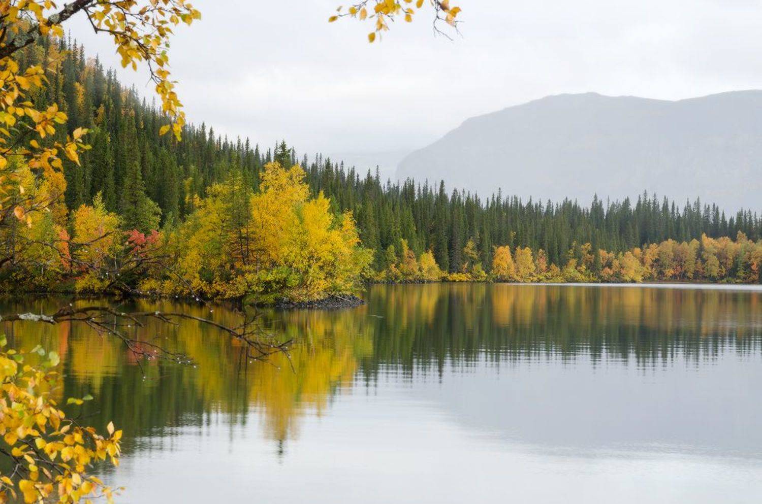 Сейдозеро, Юсупов Александр