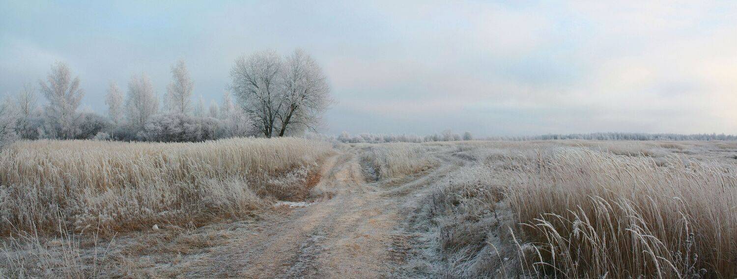 осень , дорога , поле, Александр Свистков