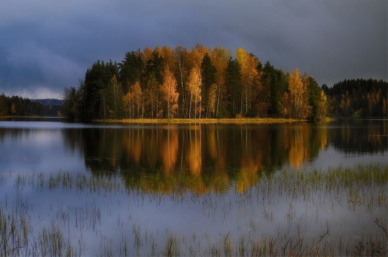 Загрустив, всплакнула осень маленьким дождём... фото превью