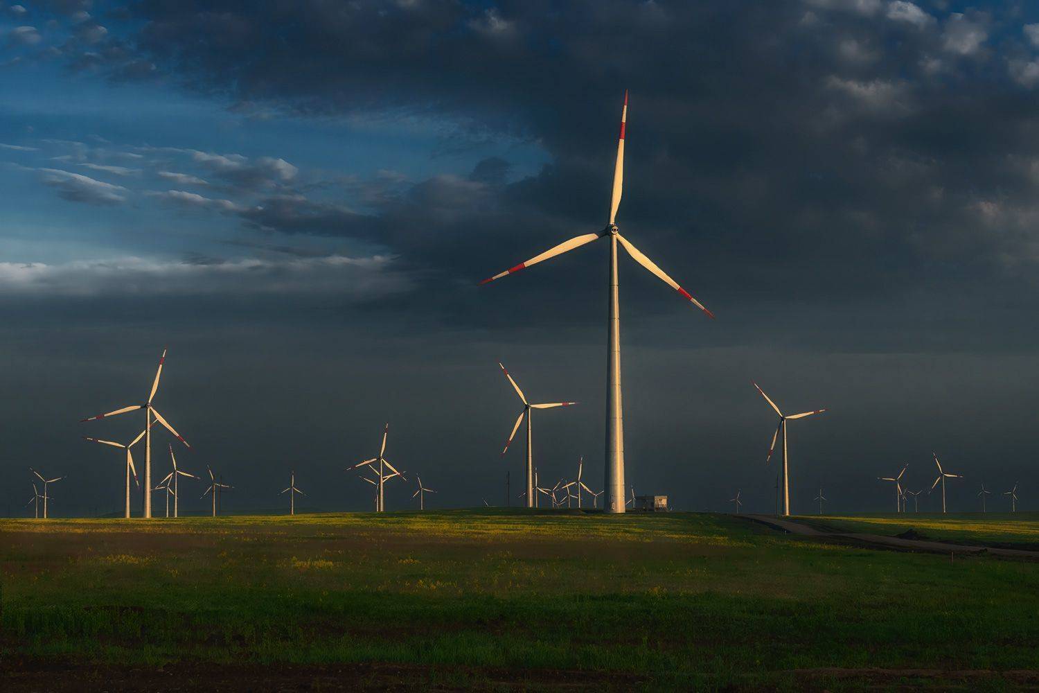 , Алиева Татьяна