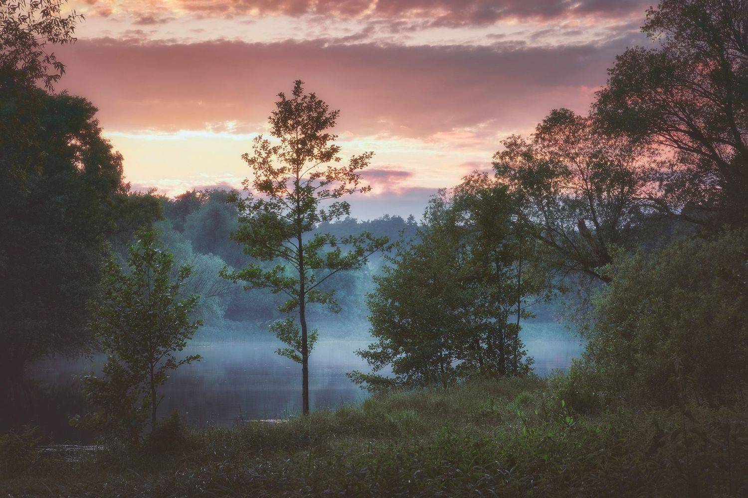 деревья, закат, озеро, пейзаж, trees, sunset, landscape, lake, Валерий Вождаев
