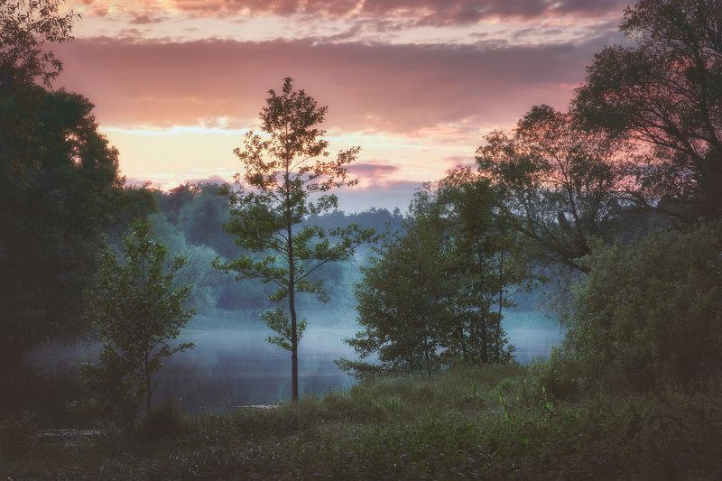 У озера фото превью