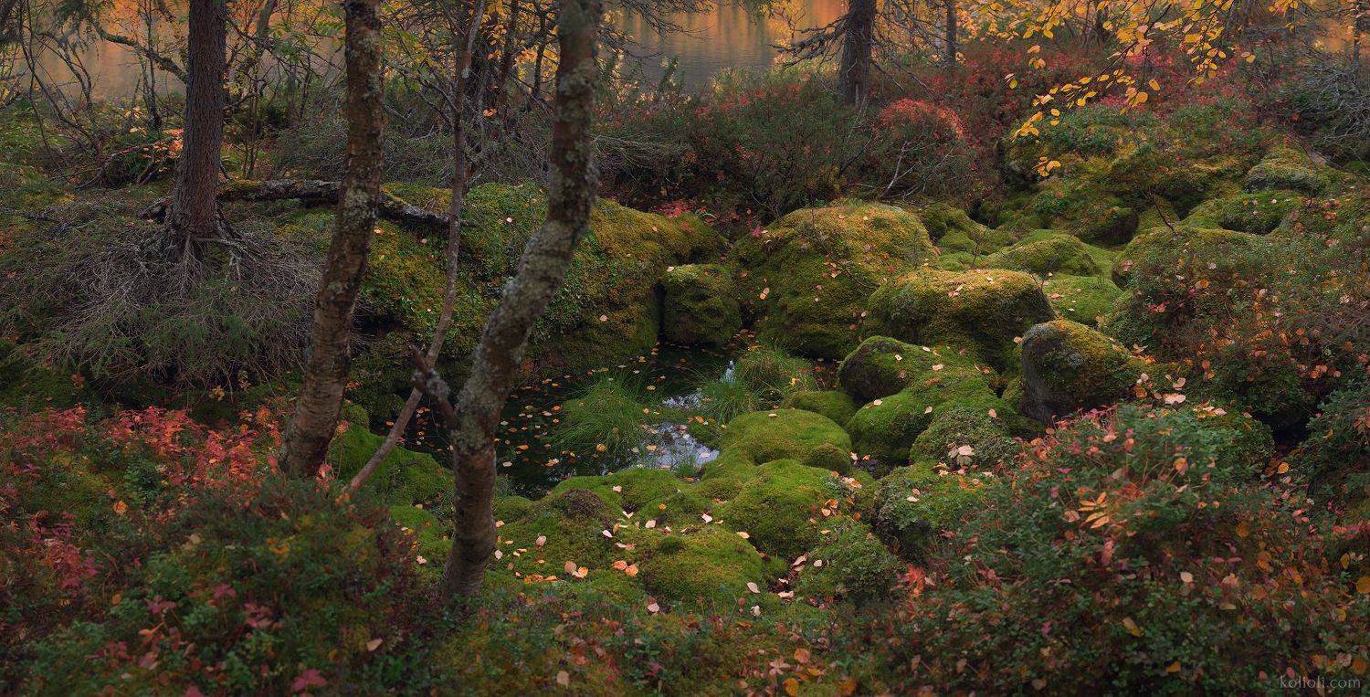 кольский полуостров, ловозерские тундры, осень, заполярье, мурманская область, сейдозеро, Степаненко Ольга