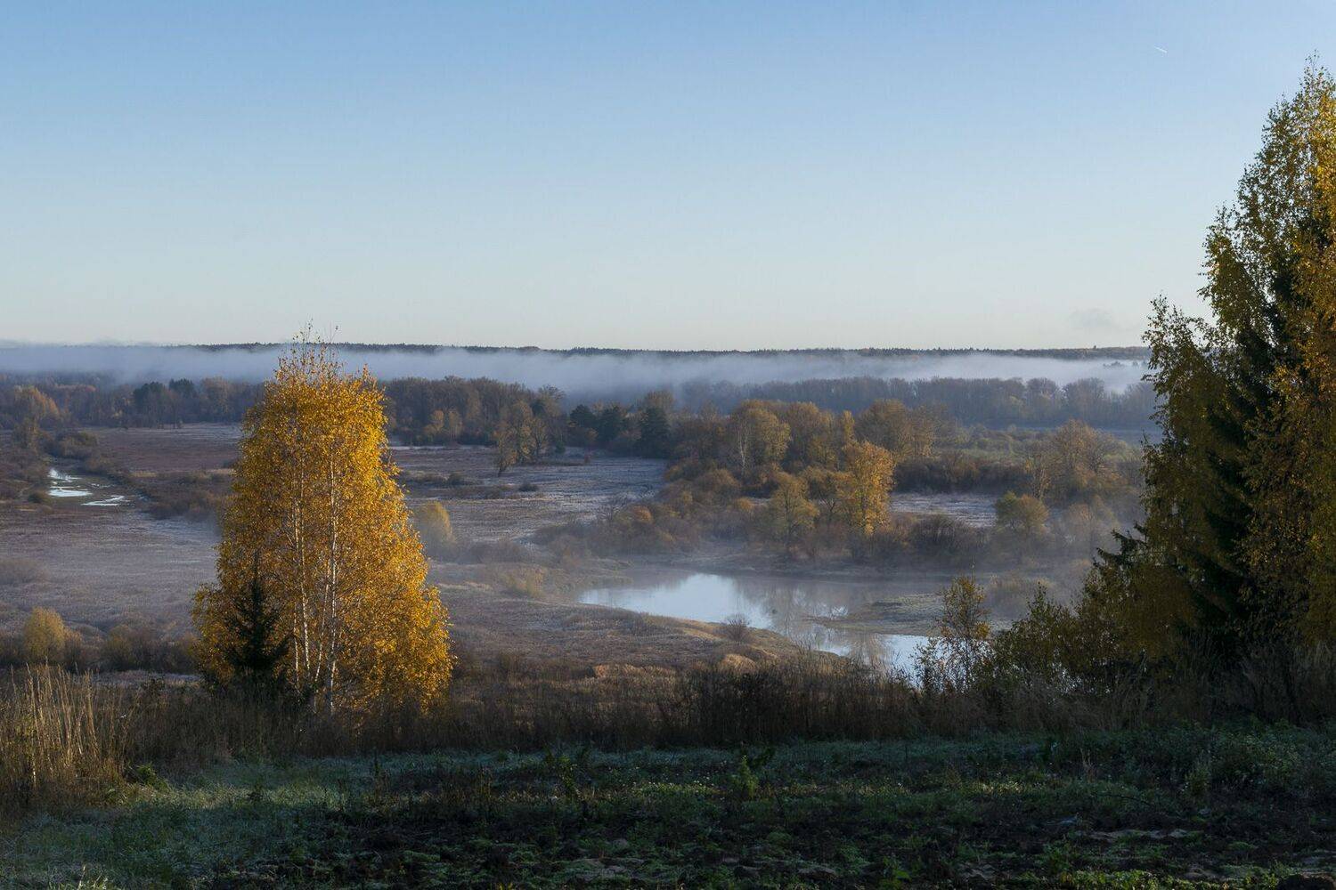 , Галина Луценко