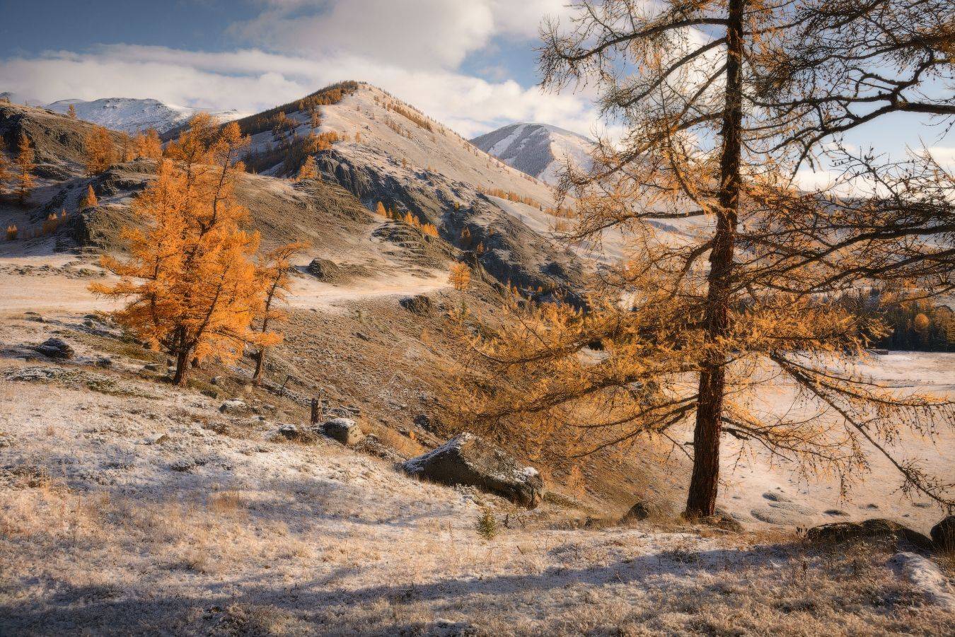 самаха, алтай, Anatoly Gordienko