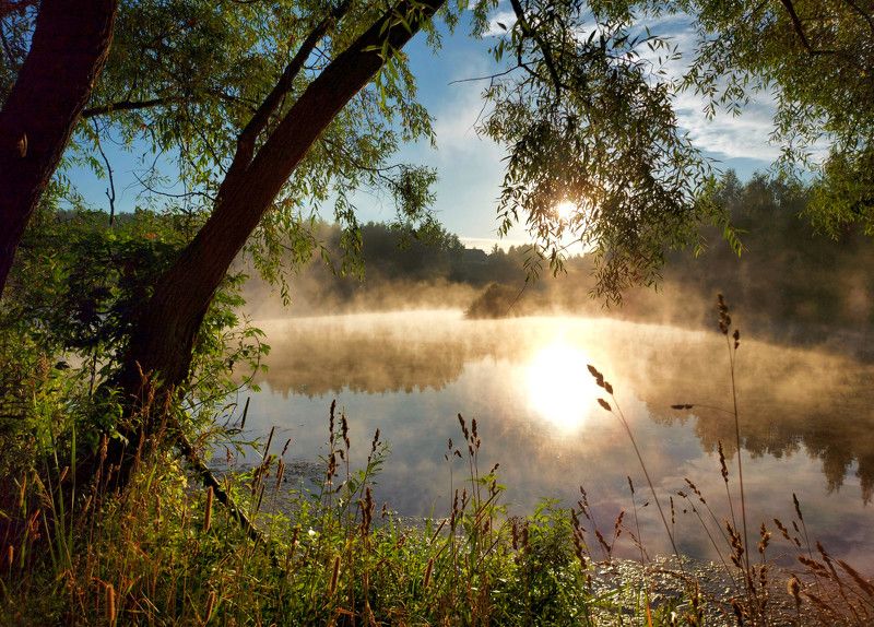 рассвет, туман, пруд, солнце, утро Летнее утро. фото превью