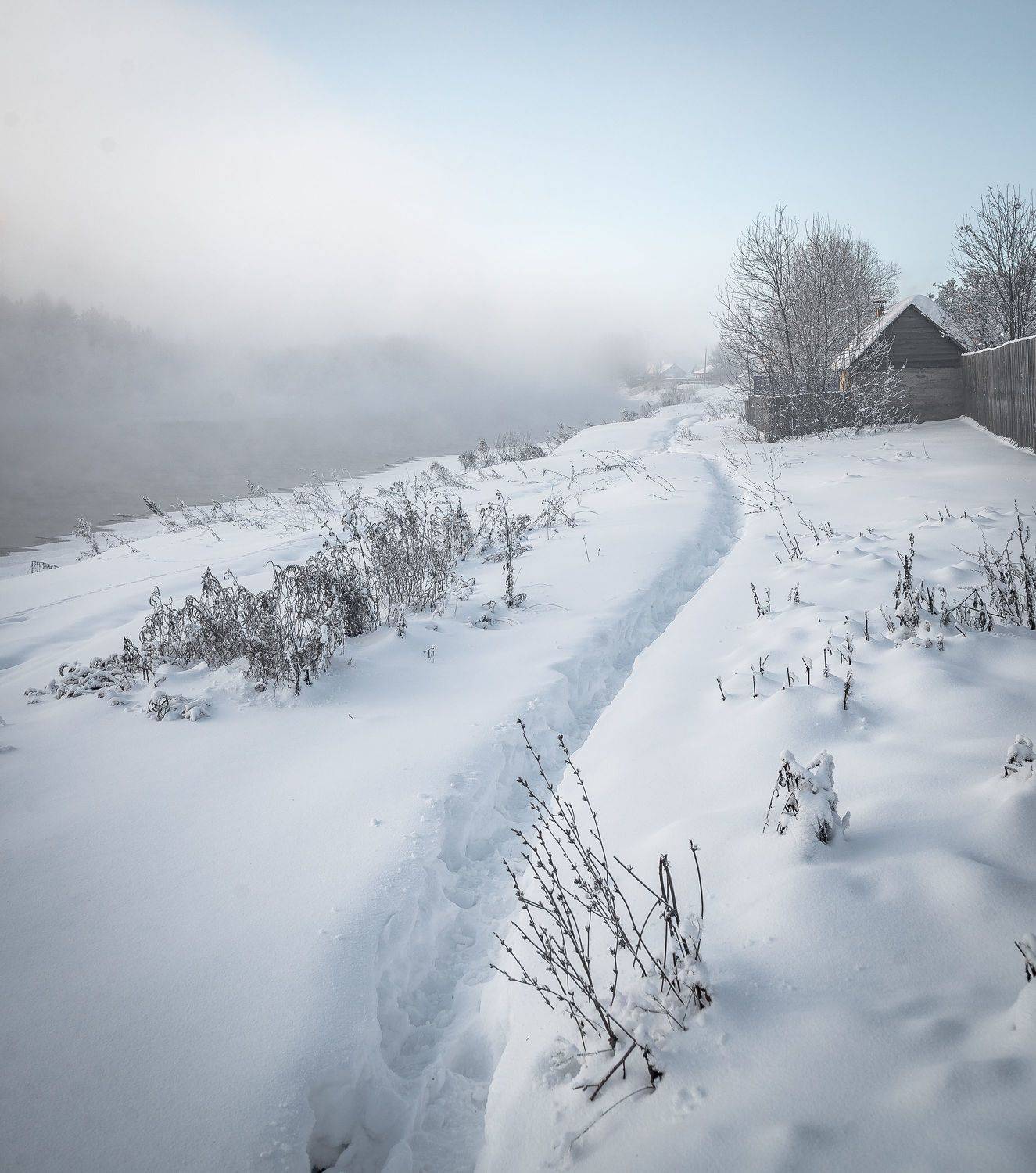 , Шуплецов Алексей