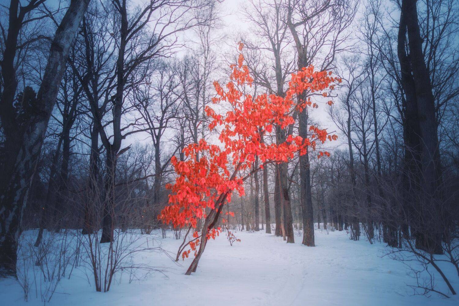 , Котов Андрей