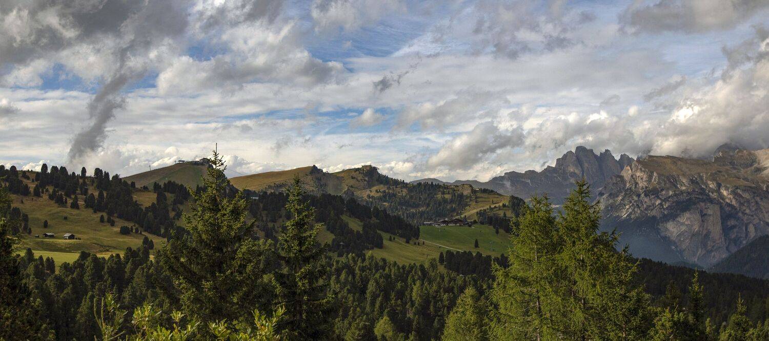 , Валентина Булкина