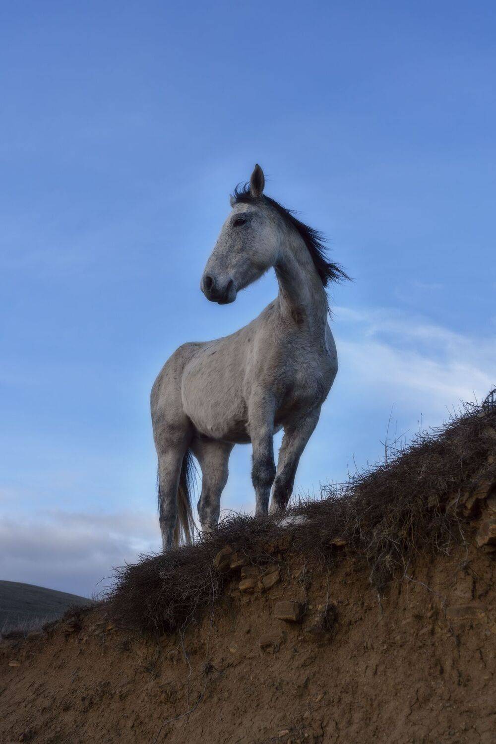 , Юлия Мальцева