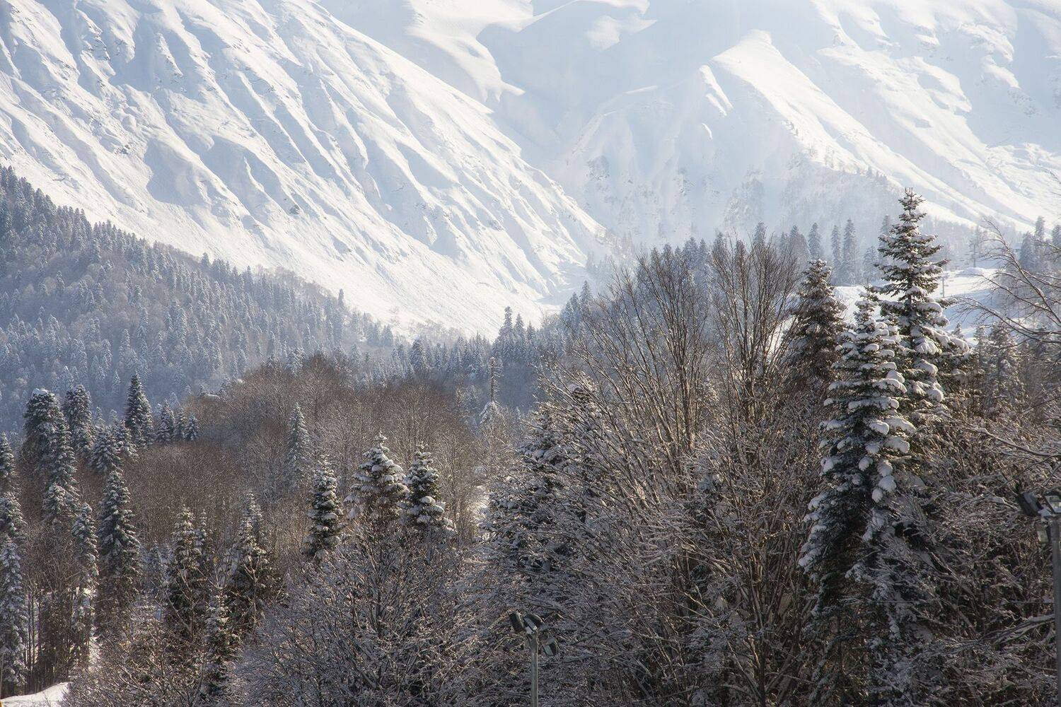 зима, снег, сочи, кавказский хребет, горы, кавказ, Чавыкина Анастасия