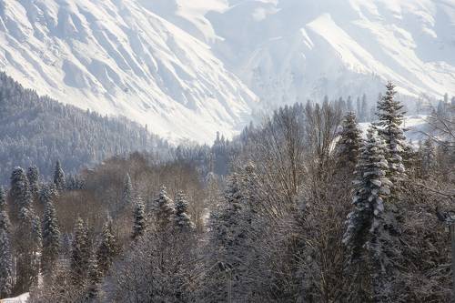 Морозное утро в горах