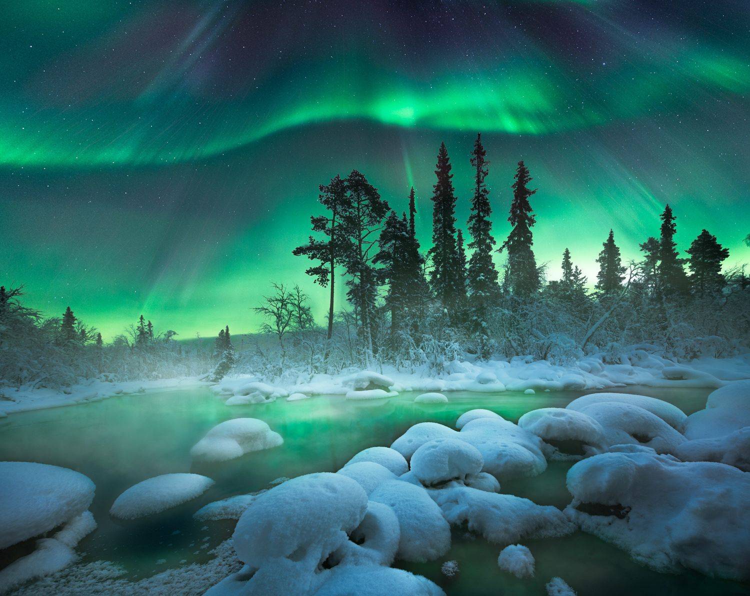 кольский полуостров,кольский,зима,winter,snow,kola peninsula,forest,aurora borealis,  Aleksey R.