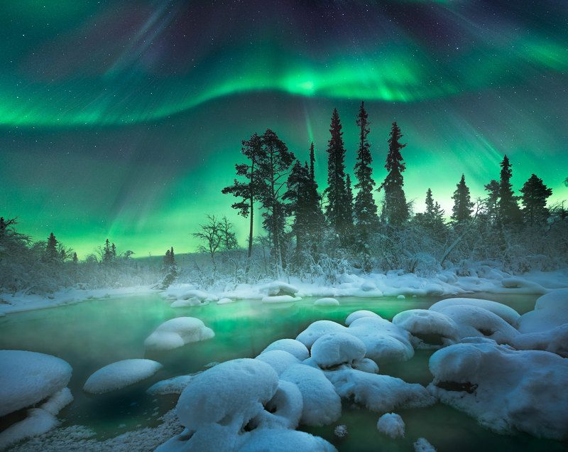 кольский полуостров,кольский,зима,winter,snow,kola peninsula,forest,aurora borealis Magic night фото превью