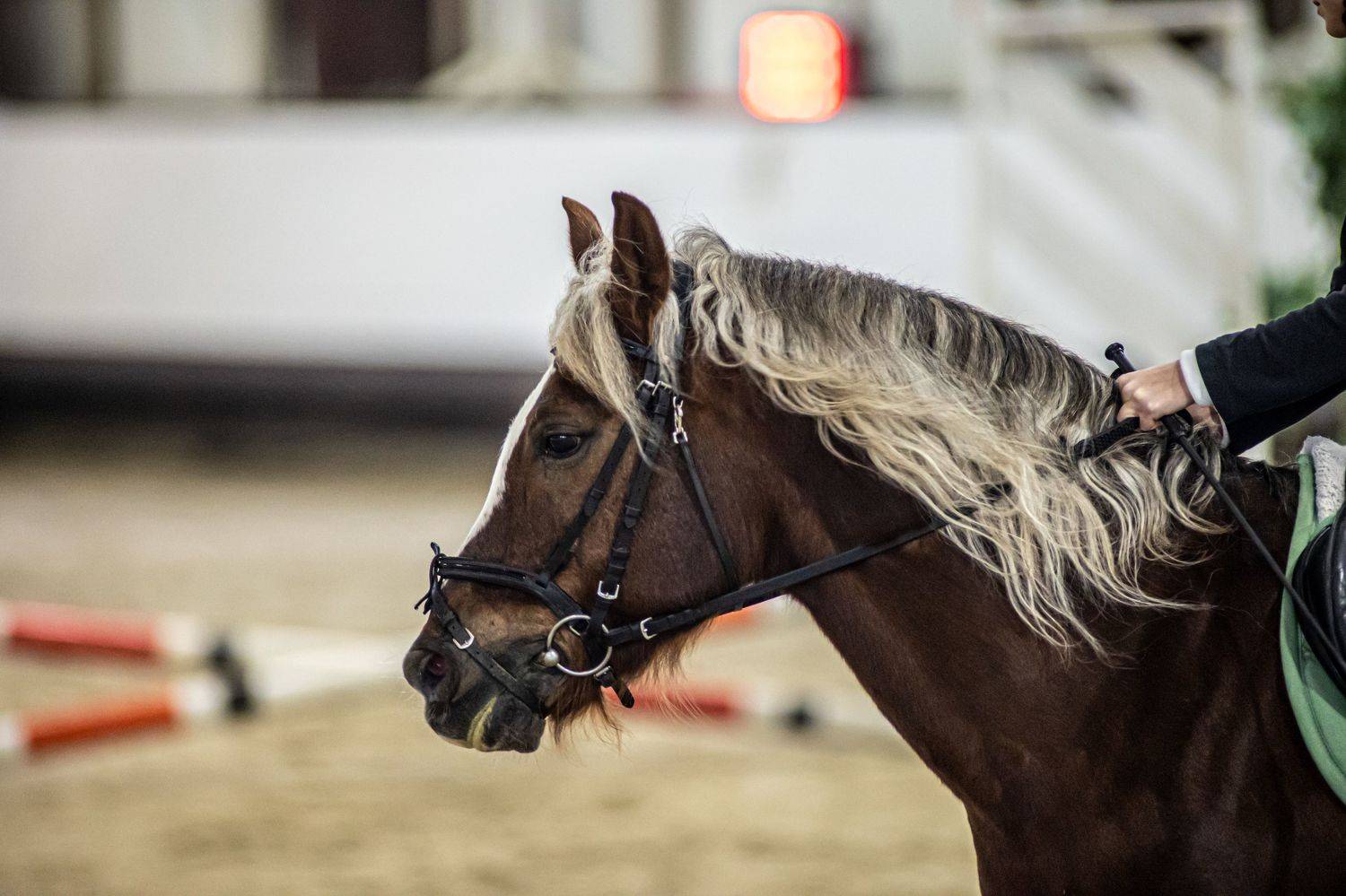 , Сергей Лашнев