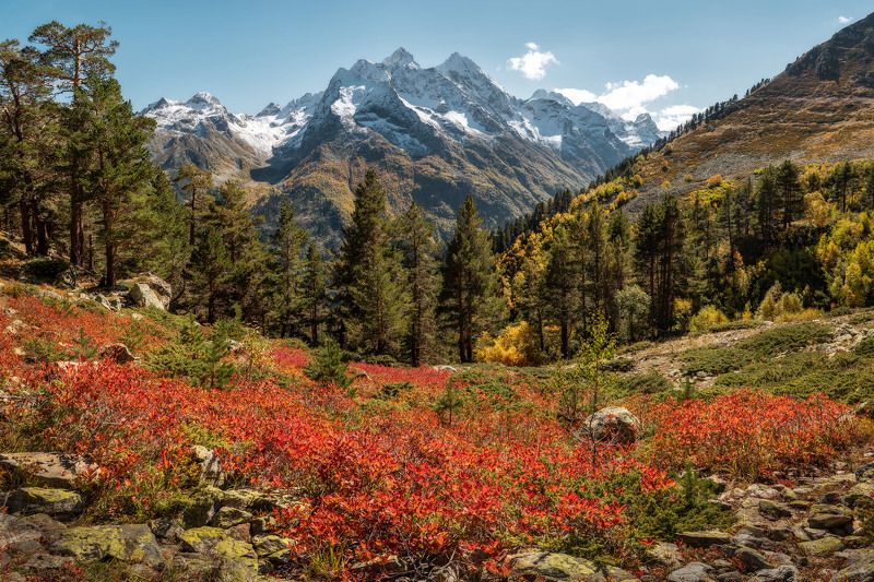 горы, кавказ, махар, карачаево-черкесия, осень Осенний Махар фото превью