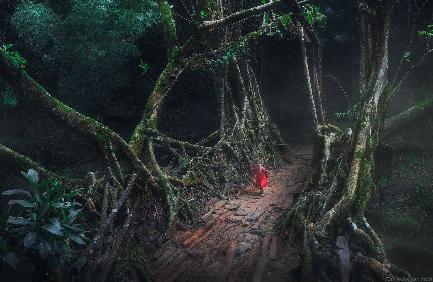 , Даниил Коржонов