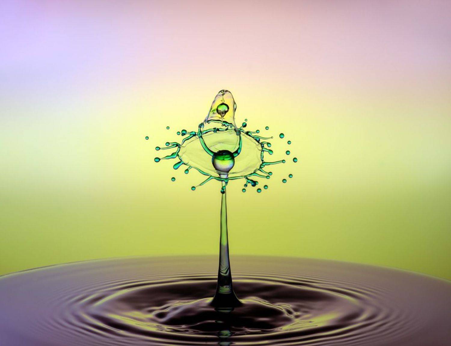 WATER,LIQUID,SPLASH PHOTOGRAPHY,ABSTRACT,TIME STOP,SPEED LIGTH,YOUSEF SAYADI,BLUE,YELLOW,MAGENTA,LIQUID ART,ABSTRACT ART,DROPS,MACRO,REFLECTIVE,HIGH SPEED PHOTOGRAPHY, Sayadi Yousef