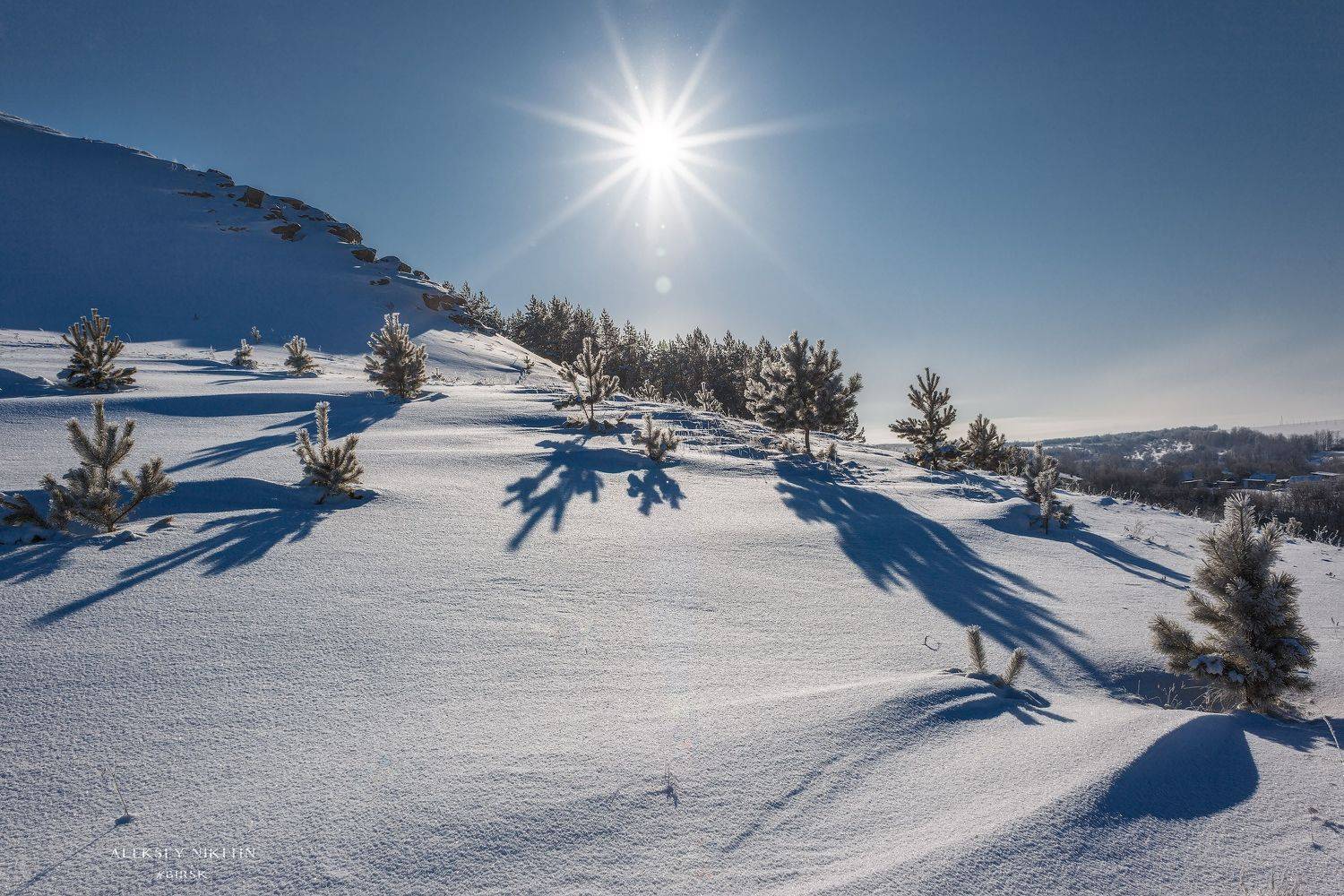 , Никитин Алексей
