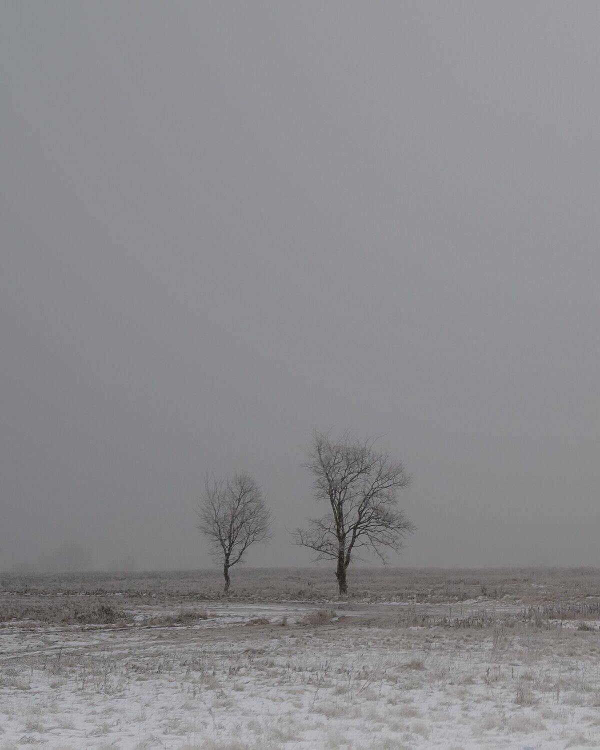 , Караваев Антон