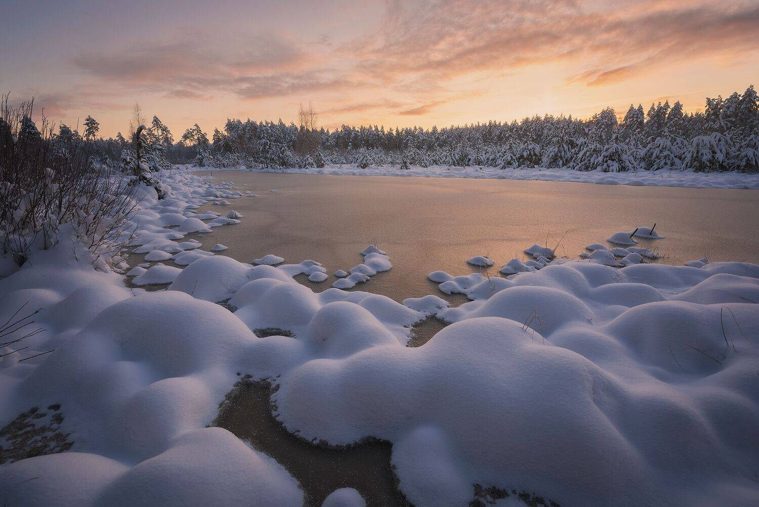 , Захаров Дмитрий
