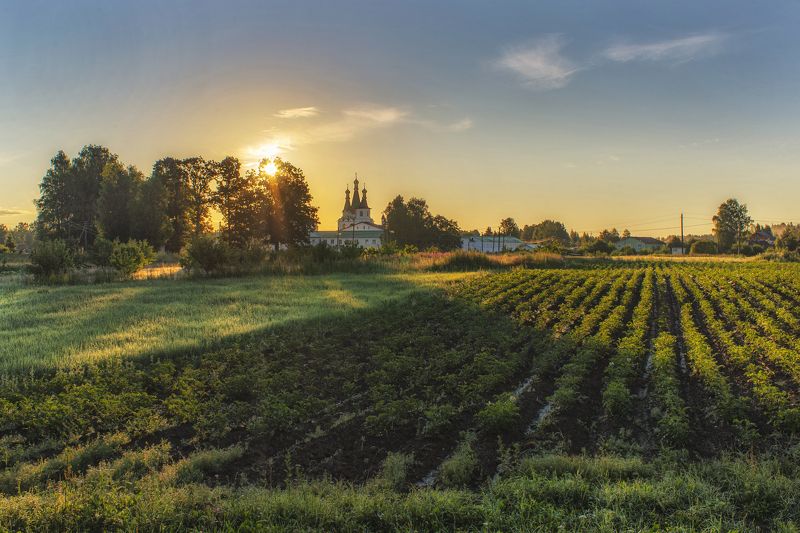 Лето, ах лето... фото превью