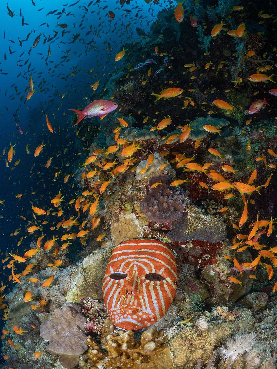 , Сергей Шанин