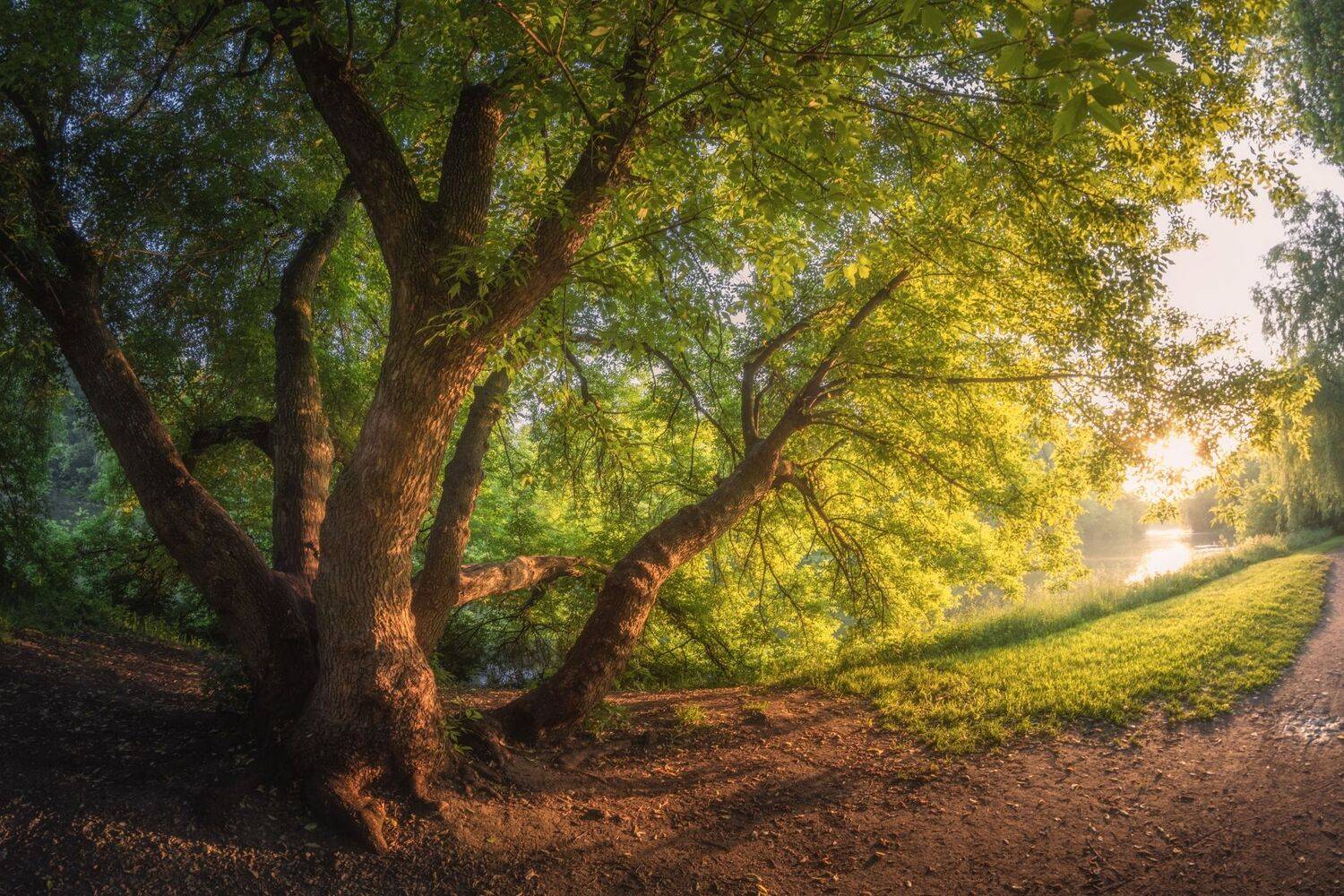 , Котов Андрей