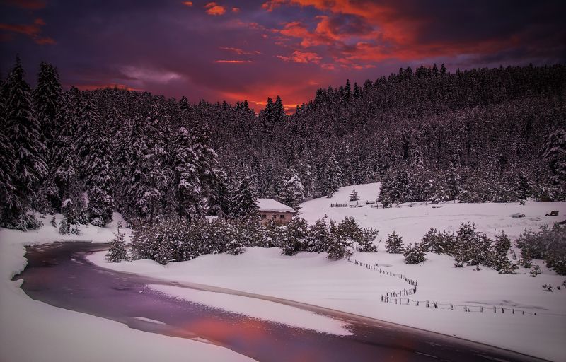 My portfolio фото превью