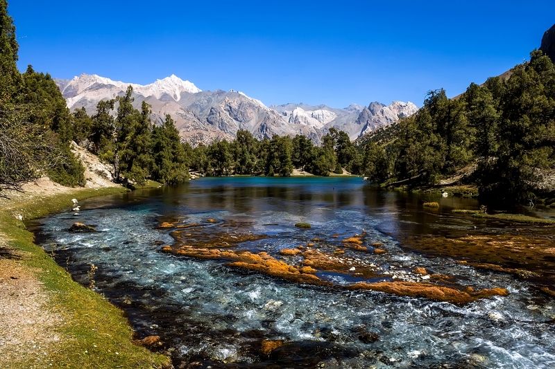 Фаны  фото превью