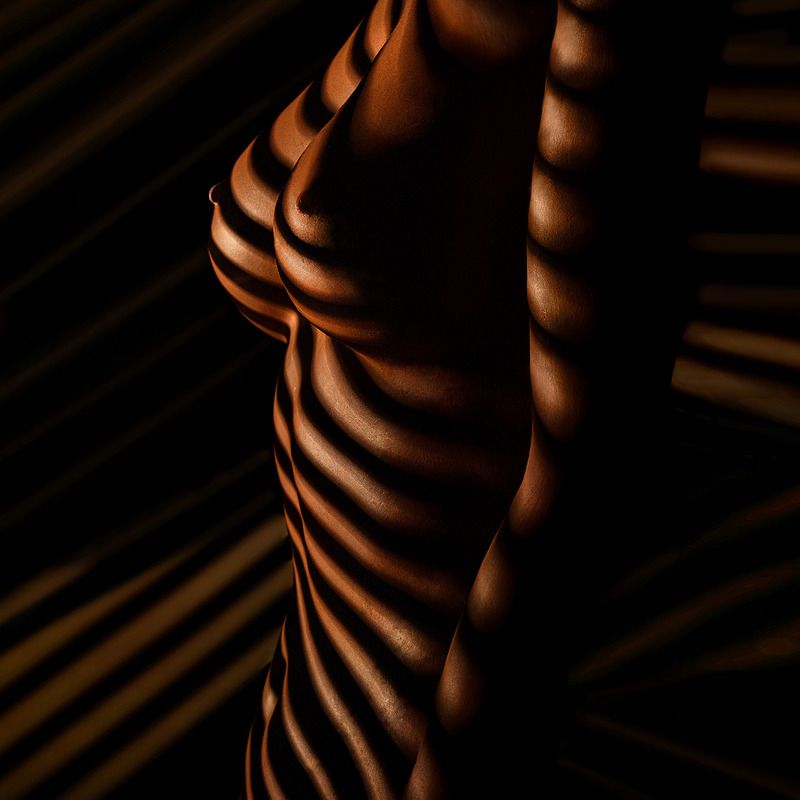 nude,nudeds, model, body, lowkey, blinds, sexy, erotic, breasts, bodyart, nude art, nude, girl, woman, model, curves, lines, zebra art, stripes, lights, shadows light.beams.body фото превью