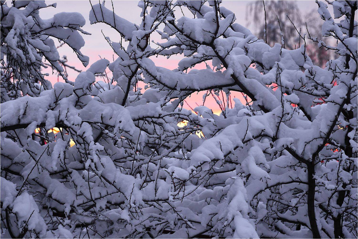 , Владимир Краснов