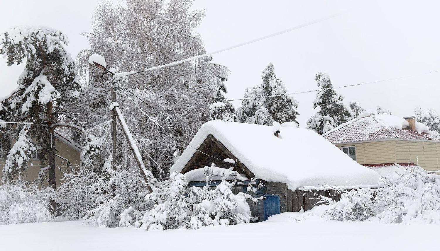 , Владимир Краснов