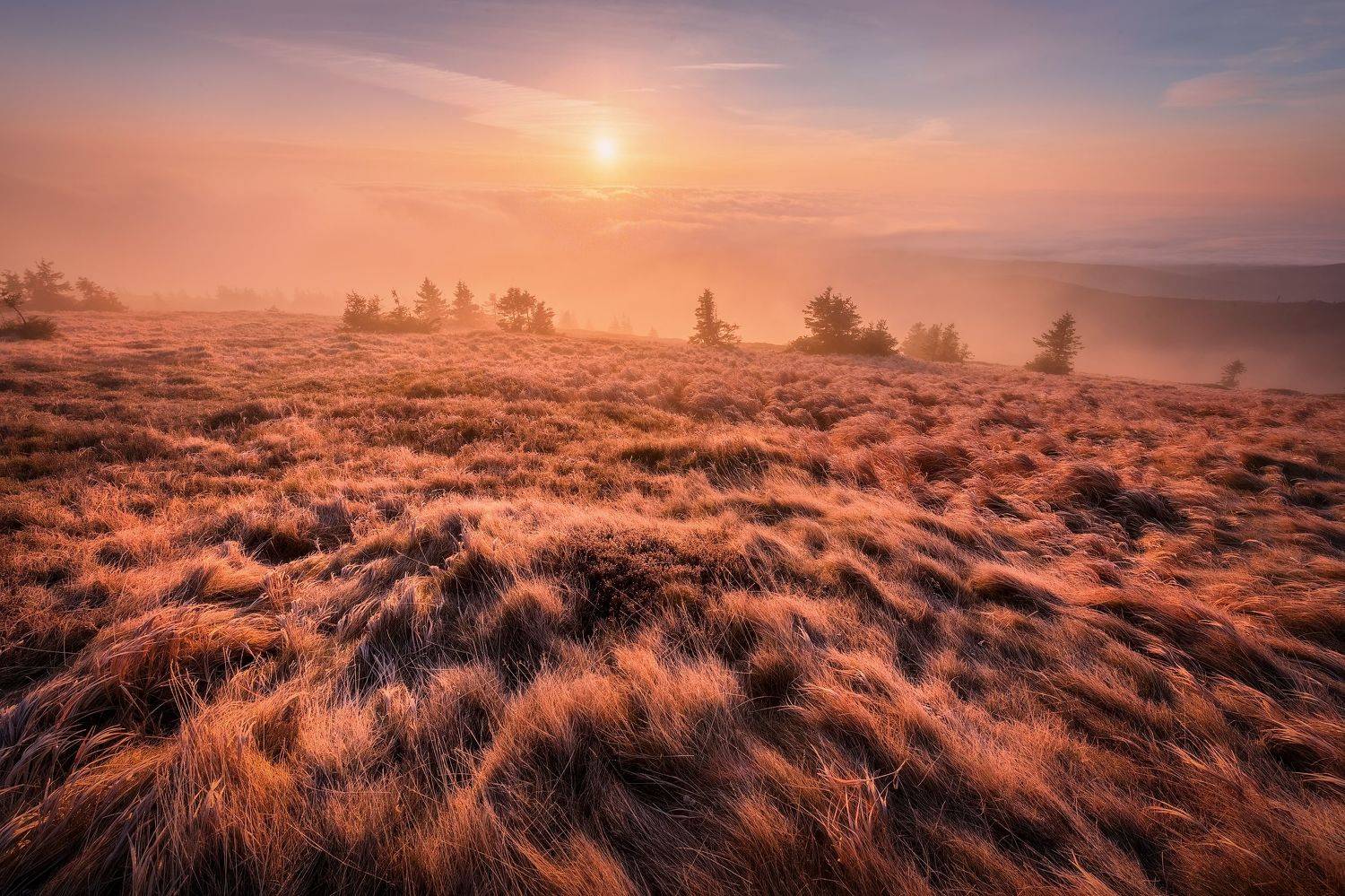 landscape, autumn, Petr Fiala