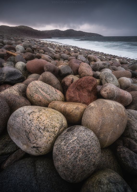 Каменный цветок фото превью