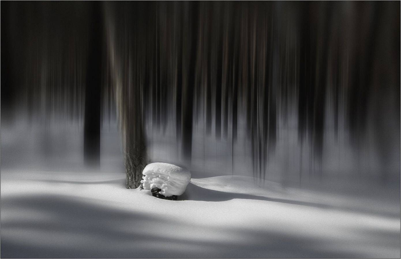 , Евгений Зинов