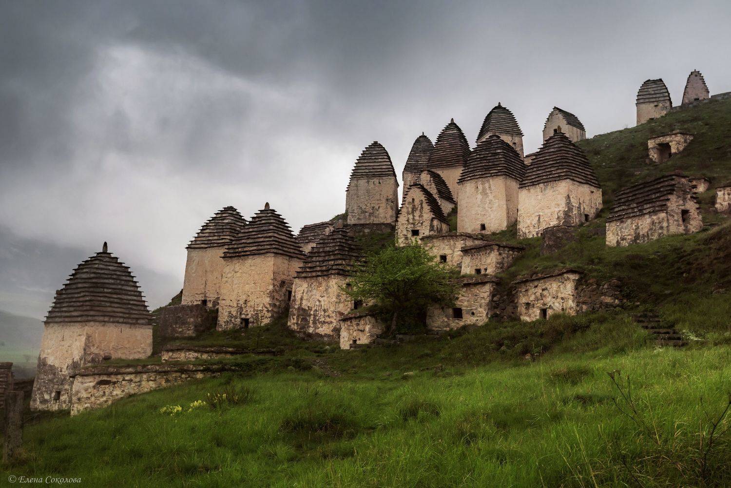 город мертвых,  даргавс, кавказ, природа, Соколова Елена