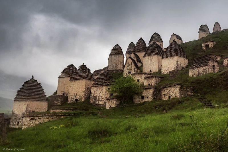 город мертвых,  даргавс, кавказ, природа Город мертвых Даргавс фото превью